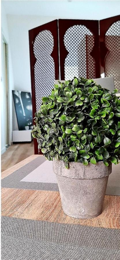 Charmant Studio Au Coeur De Sens Apartment Ngoại thất bức ảnh